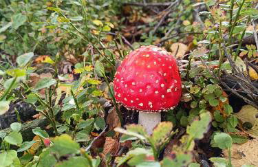 Rifugio Futopia - start here your journey to the discovering of the Alpi Graie - Foto 36