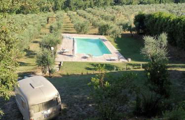 La Fattoria di Rendola - Foto 7