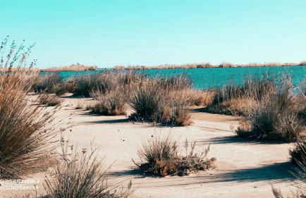 Riumar Nature 38 , piscina , aire acondicionado , barbacoa y pàrquing Privado - Foto 46