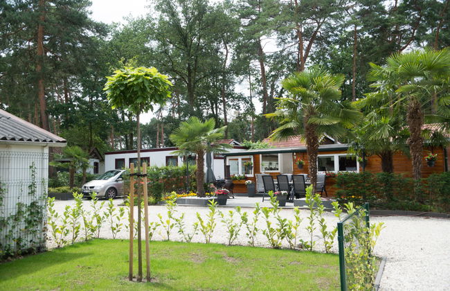 3 bedroom House in Schinveld with garden and terrace - Photo 5