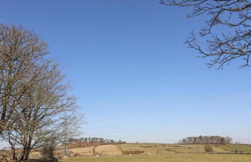 Cwt Mochyn - Foto 24