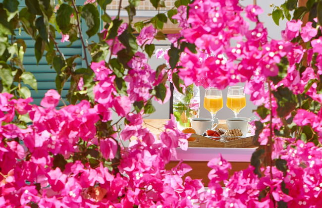 Paul Marie - Foto 10