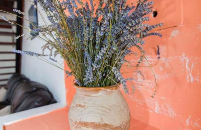 Apartments Bonic - Foto 14