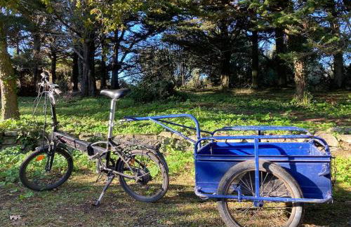 Site exceptionnel accès mer grands espaces - Foto 44