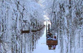 Podere San Ferdinando - Foto 20