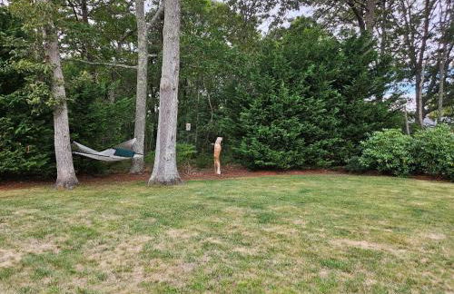 Hort Inn - CHT - RCR110 - Foto 59