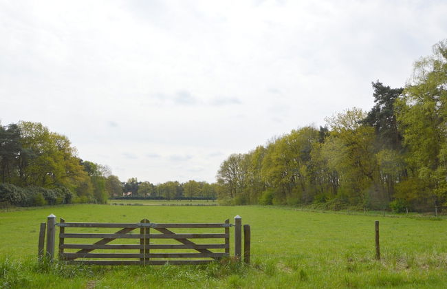 Dine & Unwind Vacation Spot - Photo 30