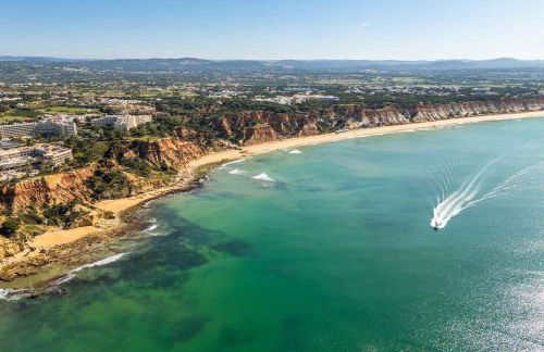 T2 Eucalipto 2A by Algarneto - Foto 22