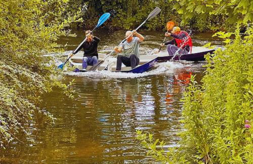 Bears House - Foto 21