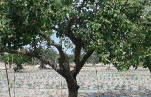 Agriturismo Donna Beatrice - Foto 46