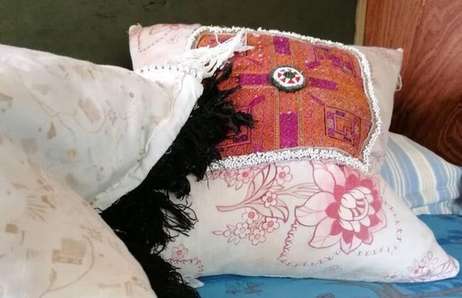 Totnes - Cabin - Sleeps 4 - Garden - Parking - Foto 11