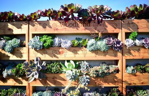 The Woodland Collection, 10 mins from beaches - Photo 20