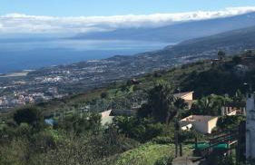 Finca Casa Madera 1 - Foto 69