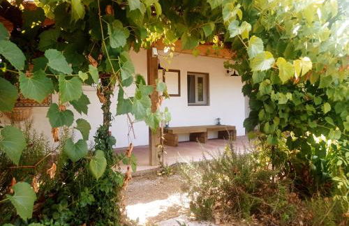 Monte das Andorinhas Alentejo - Foto 14