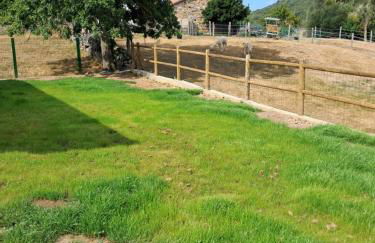 El arca de campoo - Foto 10