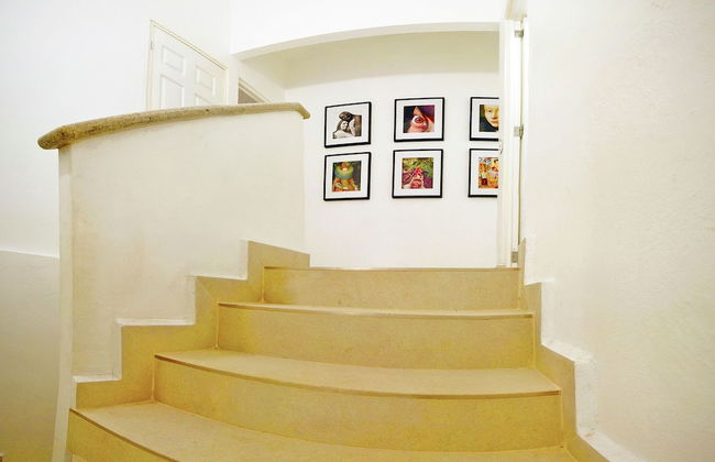 HominngBird - Foto 67