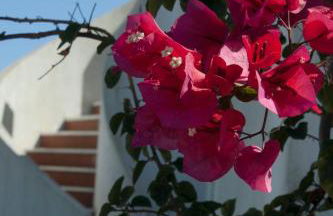 Villa Alves - Foto 9