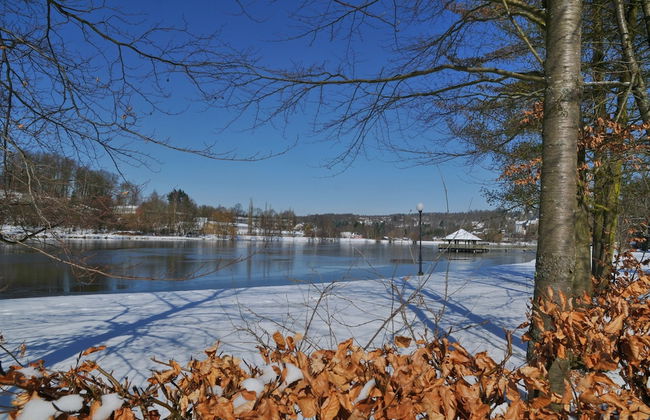 Holiday Home in Vielsalm With Lake View - Foto 61