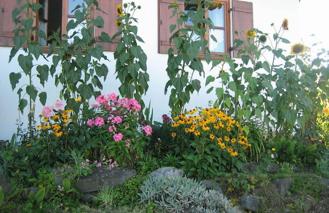 Apartment in Ingenried With Bavarian Alps View - Foto 22