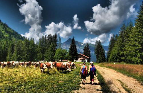 BelleVue centre, wifi, mountain view - Foto 33