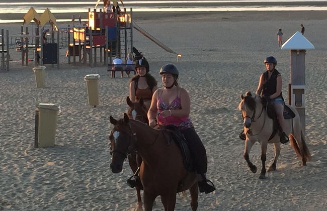 Romantic Studio in Stellendam With Terrace - Foto 36