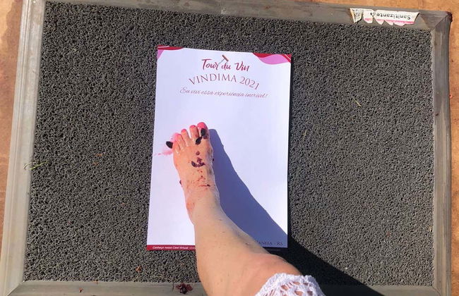 Ingresso da vinícola Jolimont - Foto 9