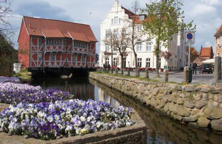 Ferienhaus Strandmuschel am Ostseestrand Zierow - Photo 30