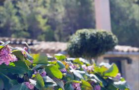 Masia Cap del Roc - Photo 29