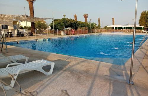 Almaden 7A - Foto 16