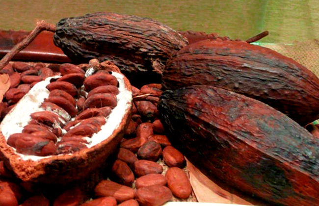 Valuta convertibile - In spagnolo - Foto 1