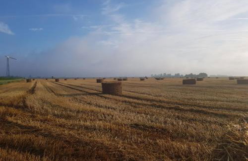 Yew Cottage - Foto 10