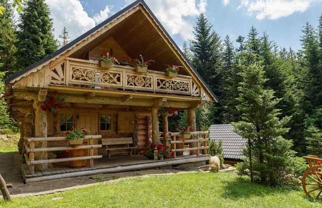 Leśna Bacówka Mountain Chalet - Foto 23