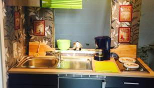 Gemütliche Ferienwohnung im Thüringer Wald, nahe des Rennsteigs - pure Erholung - Foto 3