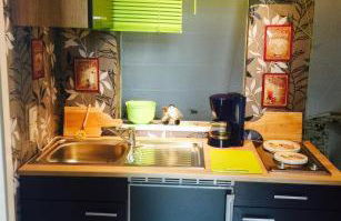 Gemütliche Ferienwohnung im Thüringer Wald, nahe des Rennsteigs - pure Erholung - Foto 3