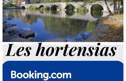 LES HORTENSIAS Spacieuse Maison en ardoise du pays FIBRE - Foto 1