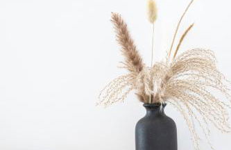 Vue mer sublime, terrasse ensoleillée et parking - Photo 30