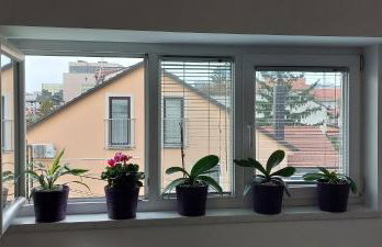 Apartment Andro,Trnje, private garage - Photo 11