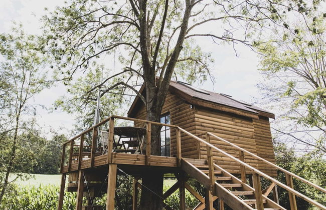 Romantic Woodland Chalet - Photo 34