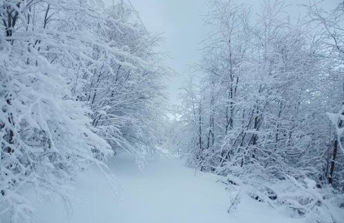 Sowiogórska Ostoja - Foto 30