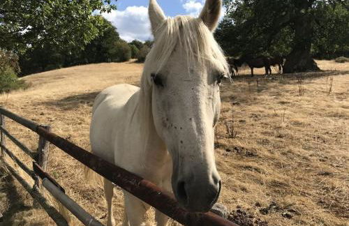 One-bedroom apartment - Foto 14