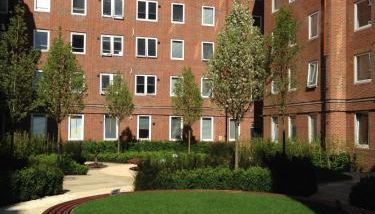 For Students Only CRM OLIB London - Foto 2