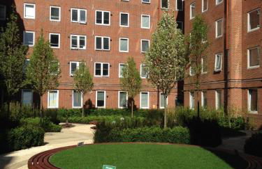 For Students Only CRM OLIB London - Foto 2