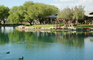 Gilbert Oasis Pool Home - Photo 30