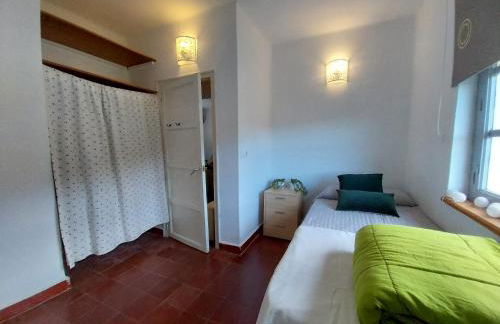 Ave Ibis eremita Vejer - Foto 14