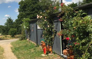 Adorable Hideaway with log fire and incredible views - Foto 1