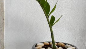 Family-friendly and cozy atmosphere - Foto 4