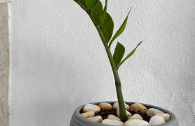 Family-friendly and cozy atmosphere - Foto 4