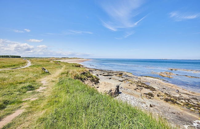 Host Stay The Puffins Nest - Foto 13