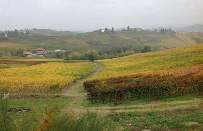 Agriturismo La Casa In Collina - Foto 36