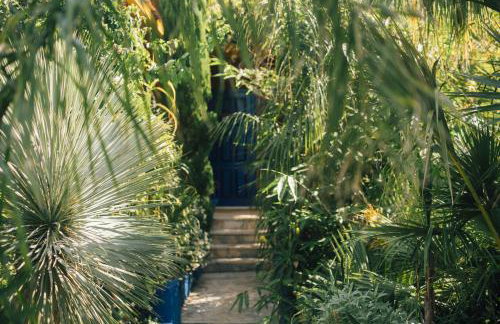 Villa Tropica, total privacy, tropical garden and private pool - Photo 52